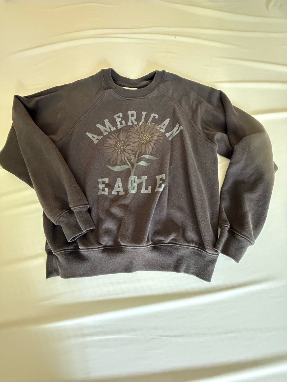 American Eagle Outfitters Charcoal Graphic Crewneck Sweatshirt